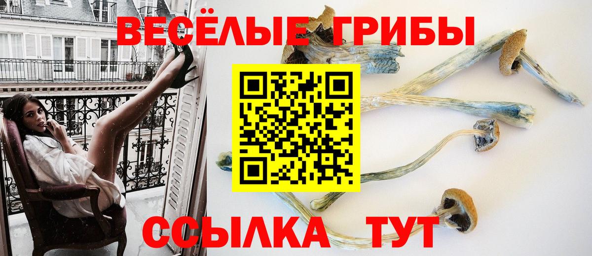 Псилоцибиновые грибы ЛСД Бердск