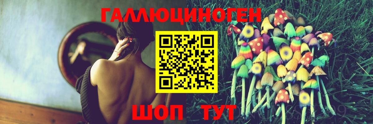 Галлюциногенные грибы GOLDEN TEACHER  Вход с VPN  Бердск  Галлюциногенные грибы Psilocybe 